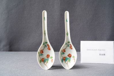 Een paar Chinese polychrome lepels met perziken, Jiaqing merk en periode