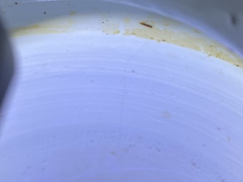 Un grand pot en porcelaine de Chine en bleu et blanc, Kangxi