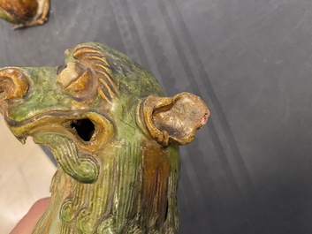 Une paire de mod&egrave;les de lions gardiens en porcelaine de Chine &agrave; &eacute;mail sancai, Ming