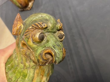 Une paire de mod&egrave;les de lions gardiens en porcelaine de Chine &agrave; &eacute;mail sancai, Ming