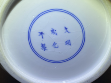 A Chinese blue and white bottle vase, Chenghua mark, Kangxi