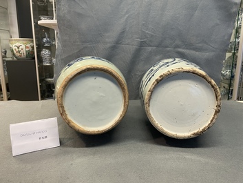 Deux vases en porcelaine de Chine en bleu et blanc sur fond c&eacute;ladon, 19&egrave;me