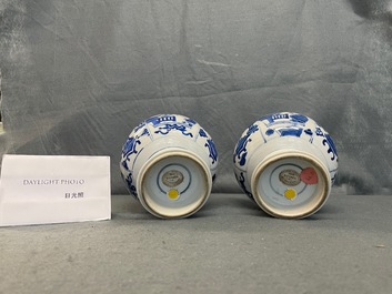 A pair of Chinese blue and white bottle vases, Kangxi