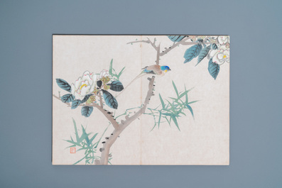 Ecole chinoise, encre et couleurs sur soie: un album figurant onze oiseaux et un &eacute;cureuil, 19/20&egrave;me