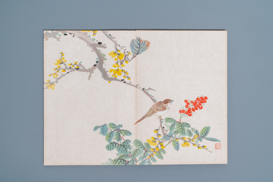 Ecole chinoise, encre et couleurs sur soie: un album figurant onze oiseaux et un &eacute;cureuil, 19/20&egrave;me