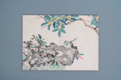 Ecole chinoise, encre et couleurs sur soie: un album figurant onze oiseaux et un &eacute;cureuil, 19/20&egrave;me
