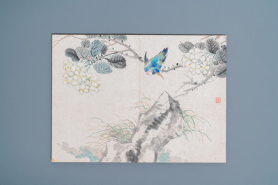 Ecole chinoise, encre et couleurs sur soie: un album figurant onze oiseaux et un &eacute;cureuil, 19/20&egrave;me
