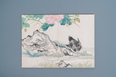 Ecole chinoise, encre et couleurs sur soie: un album figurant onze oiseaux et un &eacute;cureuil, 19/20&egrave;me