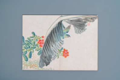 Ecole chinoise, encre et couleurs sur soie: un album figurant onze oiseaux et un &eacute;cureuil, 19/20&egrave;me