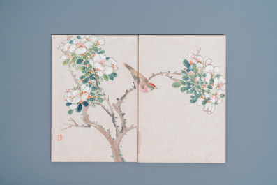 Ecole chinoise, encre et couleurs sur soie: un album figurant onze oiseaux et un &eacute;cureuil, 19/20&egrave;me