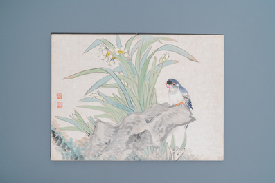 Ecole chinoise, encre et couleurs sur soie: un album figurant onze oiseaux et un &eacute;cureuil, 19/20&egrave;me