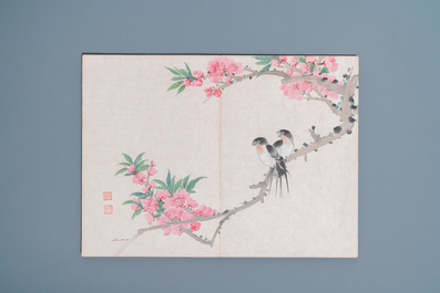 Ecole chinoise, encre et couleurs sur soie: un album figurant onze oiseaux et un &eacute;cureuil, 19/20&egrave;me