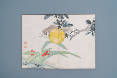 Ecole chinoise, encre et couleurs sur soie: un album figurant onze oiseaux et un &eacute;cureuil, 19/20&egrave;me
