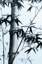 Three Chinese plaques with floral design, 20th C.