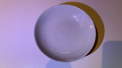 Een uitgebreide en diverse collectie Chinees porselein, Kangxi en later
