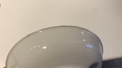 Een uitgebreide en diverse collectie Chinees porselein, Kangxi en later