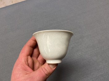 Een uitgebreide en diverse collectie Chinees porselein, Kangxi en later