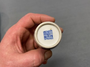 Een uitgebreide en diverse collectie Chinees porselein, Kangxi en later