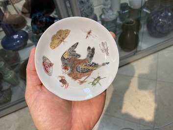 A Chinese famille rose 'bird and insects' cup and saucer, Yongzheng