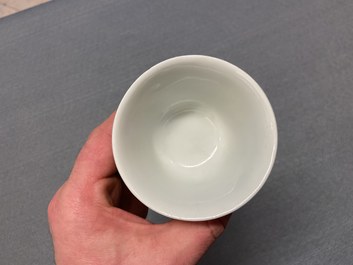 Een uitgebreide en diverse collectie Chinees porselein, Kangxi en later