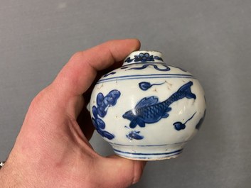 A Chinese blue and white 'carps' vase, Wanli