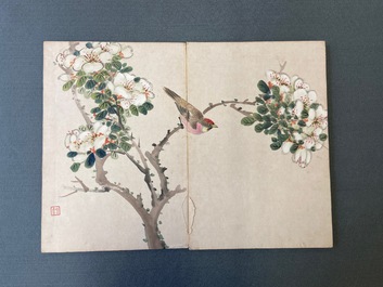 Ecole chinoise, encre et couleurs sur soie: un album figurant onze oiseaux et un &eacute;cureuil, 19/20&egrave;me