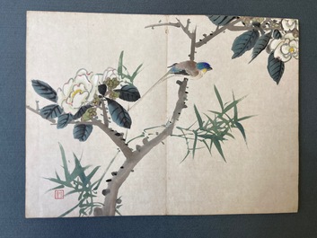 Ecole chinoise, encre et couleurs sur soie: un album figurant onze oiseaux et un &eacute;cureuil, 19/20&egrave;me