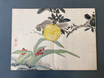 Ecole chinoise, encre et couleurs sur soie: un album figurant onze oiseaux et un &eacute;cureuil, 19/20&egrave;me