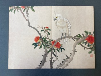 Ecole chinoise, encre et couleurs sur soie: un album figurant onze oiseaux et un &eacute;cureuil, 19/20&egrave;me