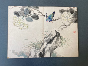 Ecole chinoise, encre et couleurs sur soie: un album figurant onze oiseaux et un &eacute;cureuil, 19/20&egrave;me