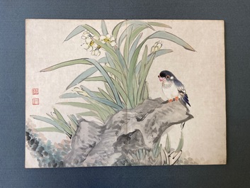 Ecole chinoise, encre et couleurs sur soie: un album figurant onze oiseaux et un &eacute;cureuil, 19/20&egrave;me