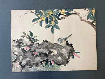 Ecole chinoise, encre et couleurs sur soie: un album figurant onze oiseaux et un &eacute;cureuil, 19/20&egrave;me