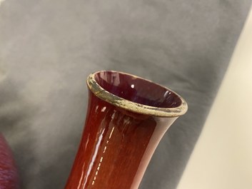 Two Chinese monochrome sang de boeuf-glazed bottle vases, 19th C.