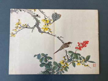 Ecole chinoise, encre et couleurs sur soie: un album figurant onze oiseaux et un &eacute;cureuil, 19/20&egrave;me