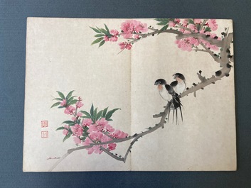 Ecole chinoise, encre et couleurs sur soie: un album figurant onze oiseaux et un &eacute;cureuil, 19/20&egrave;me