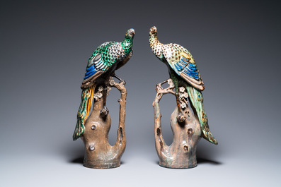 Une paire de grands paons sur tronques d'arbres en gr&egrave;s polychrome, Chine, Shiwan, 19&egrave;me