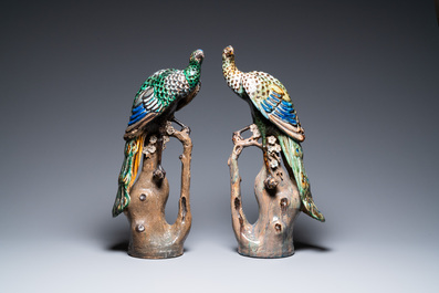 Une paire de grands paons sur tronques d'arbres en gr&egrave;s polychrome, Chine, Shiwan, 19&egrave;me