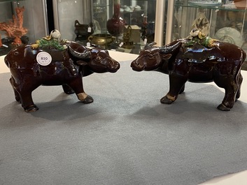 Une paire de groupes figurant des gar&ccedil;ons sur un buffle en biscuit &eacute;maill&eacute; vert, Kangxi