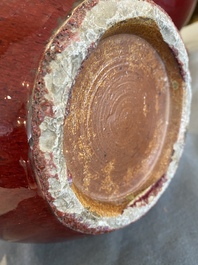 A Chinese flamb&eacute;-glazed bottle vase, 19th C.