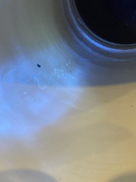 A Chinese blue and white bianco sopra bianco 'yenyen' vase, Kangxi