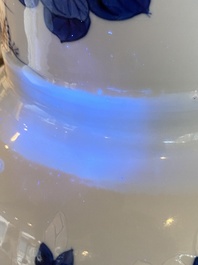 A Chinese blue and white bianco sopra bianco 'yenyen' vase, Kangxi