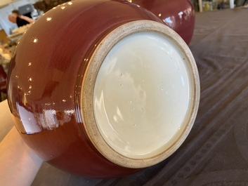 Paire de vases de forme bouteille en porcelaine de Chine &agrave; &eacute;mail dite 'fleur de p&ecirc;cher', 19&egrave;me