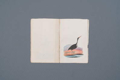 Album de 12 peintures d'oiseaux, Chine ou Inde, 19&egrave;me