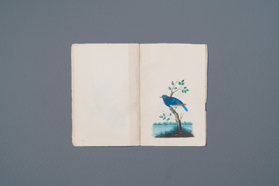 Album de 12 peintures d'oiseaux, Chine ou Inde, 19&egrave;me