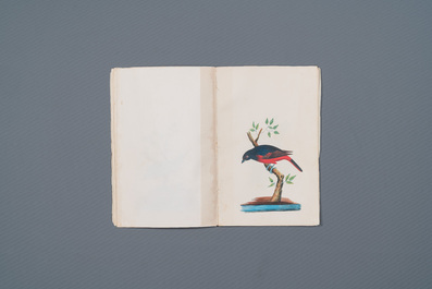 Album de 12 peintures d'oiseaux, Chine ou Inde, 19&egrave;me