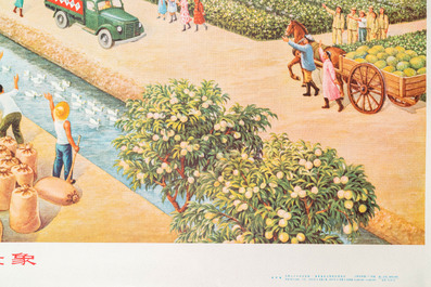 Five Chinese Cultural Revolution propaganda posters with swimming and gymnastics instructions
