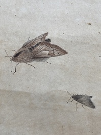 Navolger van Qi Baishi 齊白石 (1864-1957): 'Een olielamp met twee motten', inkt en kleur op papier