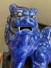 A Chinese monochrome blue Qianlong seal with a Buddhist lion, 19/20th C.