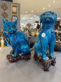 A Chinese turquoise-glazed cat and a dog on wooden stands, 19th C.