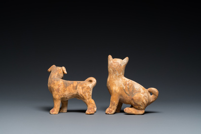 Deux mod&egrave;les de chiens en terre cuite polychrom&eacute;e de type 'mingqi', Chine, Han
